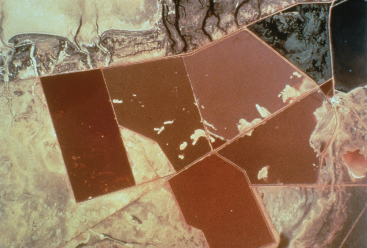 Teiche, die sich durch Dunaliella salina rot färben